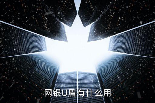 網(wǎng)銀U盾有什么用
