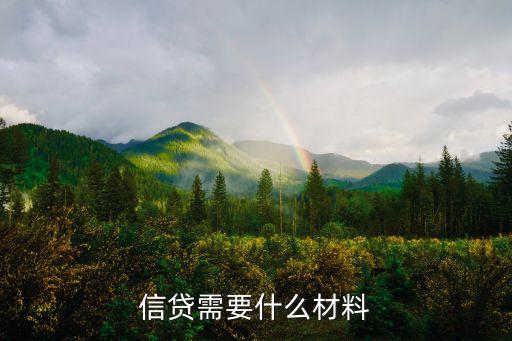 信貸需要什么材料