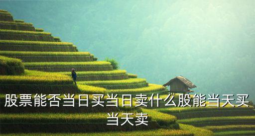 股票能否當(dāng)日買當(dāng)日賣什么股能當(dāng)天買當(dāng)天賣