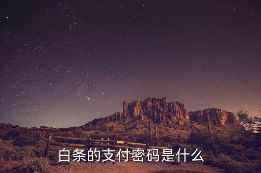 白條的支付密碼是什么