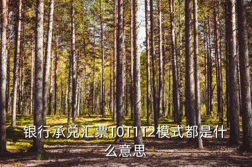 銀行承兌匯票T0T1T2模式都是什么意思