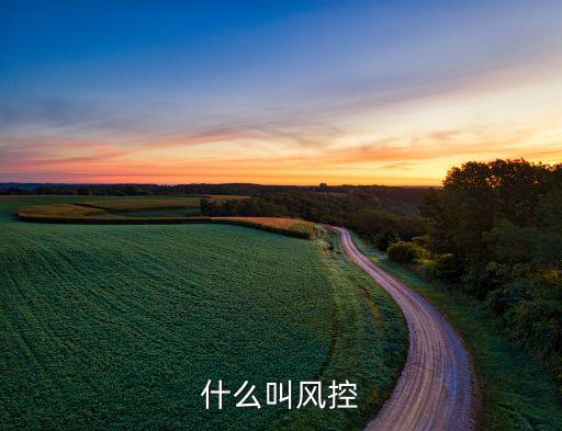 什么叫風(fēng)控