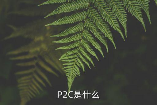 P2C是什么