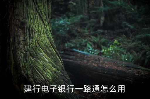 建行電子銀行一路通怎么用