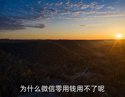 為什么微信零用錢用不了呢