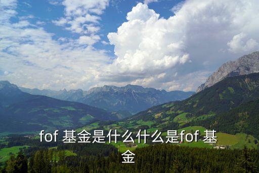 fof 基金是什么什么是fof 基金