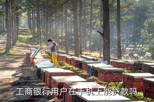 工商銀行用戶在手機(jī)上能貸款嗎