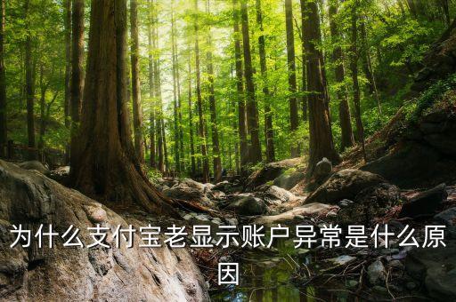 為什么支付寶老顯示賬戶異常是什么原因