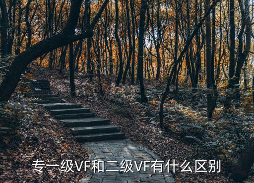 專一級VF和二級VF有什么區(qū)別