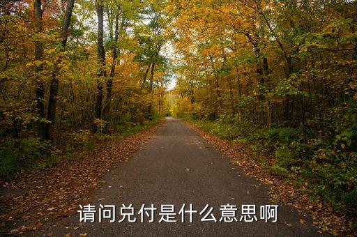 請(qǐng)問(wèn)兌付是什么意思啊