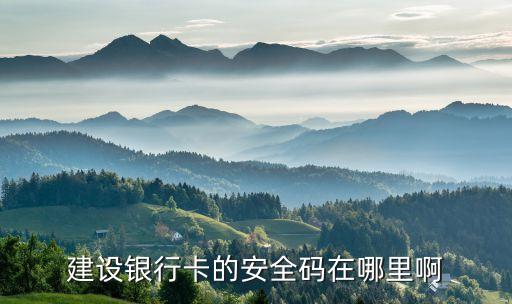 建設(shè)銀行卡的安全碼在哪里啊