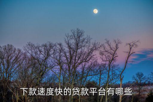 什么信用貸款容易下，下款速度快的貸款平臺有哪些