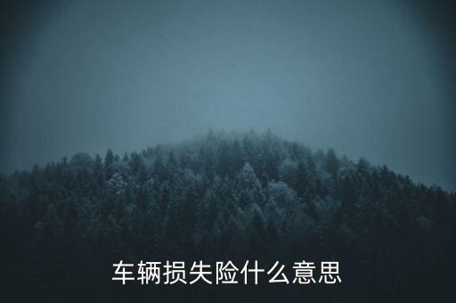 什么叫車輛損失保險(xiǎn)，車損險(xiǎn)是什么意思