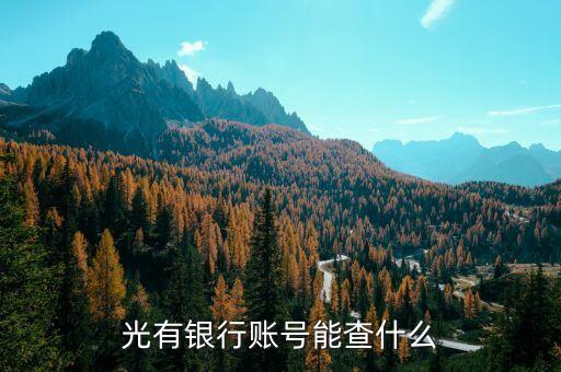 光有銀行賬號能查什么
