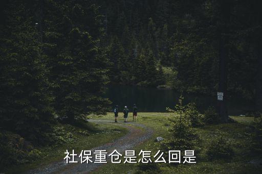 社保重倉是怎么回是