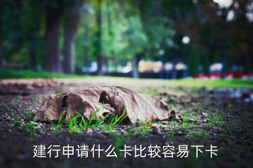 建行申請什么卡比較容易下卡