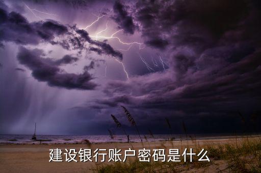 建設(shè)銀行賬戶密碼是什么