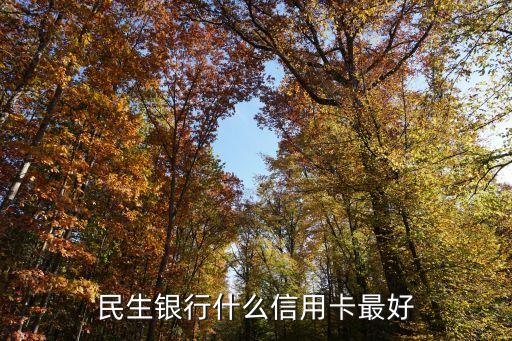 民生選什么卡，民生銀行的什么信用卡最好