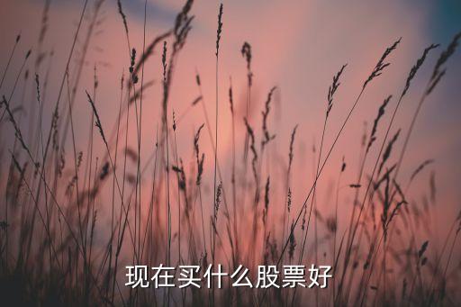 現(xiàn)在買什么股票好
