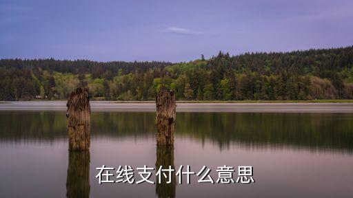 線上支付是什么，竹蘭里在線支付是什么意思