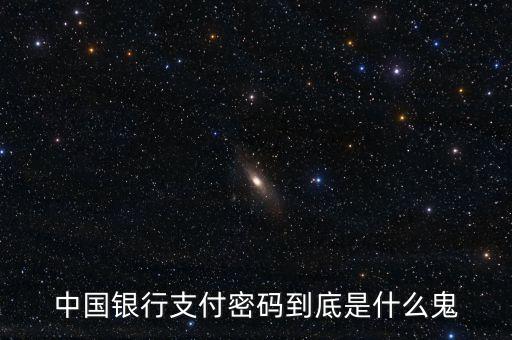 中國銀行支付密碼到底是什么鬼