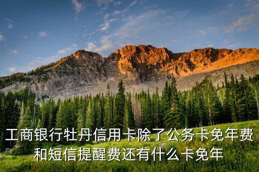 什么牡丹卡免年費，工商銀行牡丹信用卡除了公務(wù)卡免年費和短信提醒費還有什么卡免年