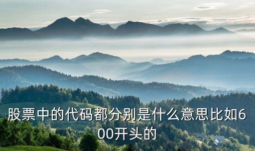 股票中的代碼都分別是什么意思比如600開(kāi)頭的