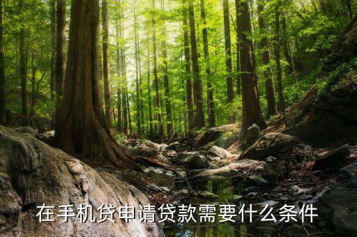 在手機(jī)貸申請貸款需要什么條件