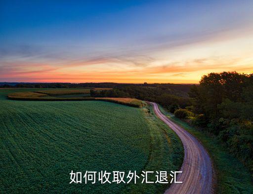 如何收取外匯退匯
