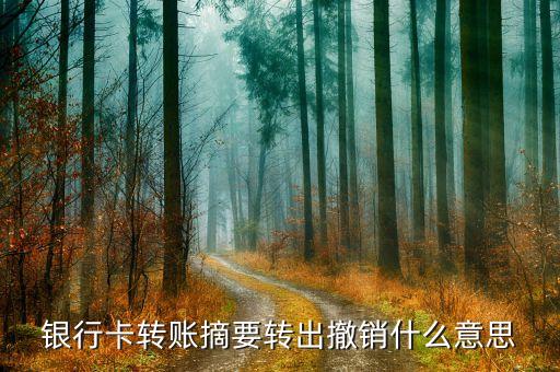 銀行卡轉賬摘要轉出撤銷什么意思
