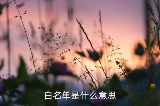 白名單是什么意思