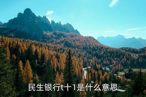 民生銀行t十1是什么意思
