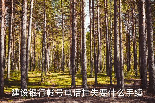 建設銀行帳號電話掛失要什么手續(xù)