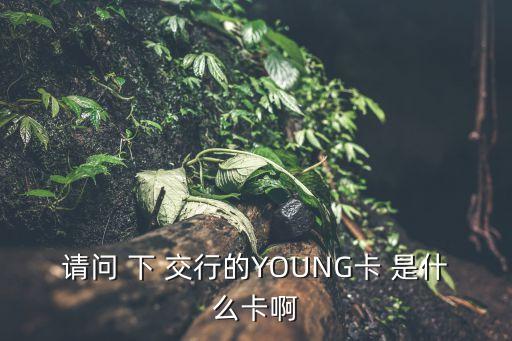 銀行卡菁英卡是什么卡，中信銀行菁英卡是什么卡