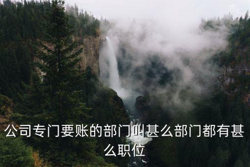 公司專門要賬的部門叫甚么部門都有甚么職位