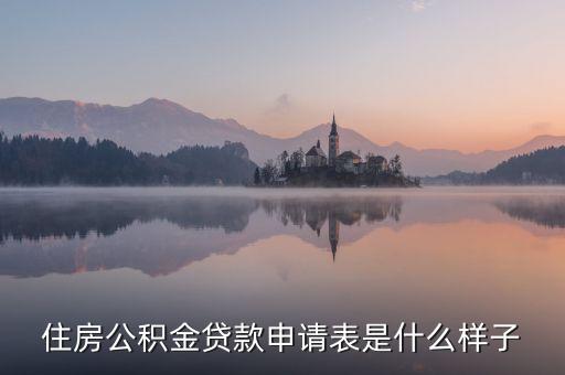 住房公積金貸款申請表是什么樣子