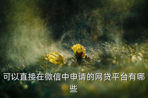 可以直接在微信中申請(qǐng)的網(wǎng)貸平臺(tái)有哪些