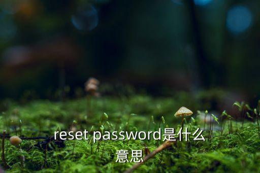 新版建設(shè)重置密碼是什么意思，密碼重置是什么意思
