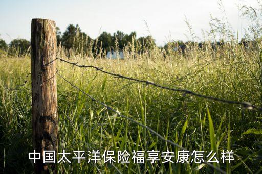 中國太平洋保險福享安康怎么樣