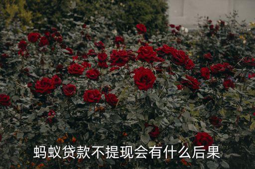 螞蟻套現(xiàn)有什么危害，螞蟻貸款不提現(xiàn)會有什么后果