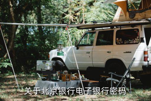 北京銀行的電子銀行密碼是什么意思，我辦了張北京銀行借記卡其他業(yè)務(wù)暫時(shí)都沒(méi)辦密函上有個(gè)電子銀行