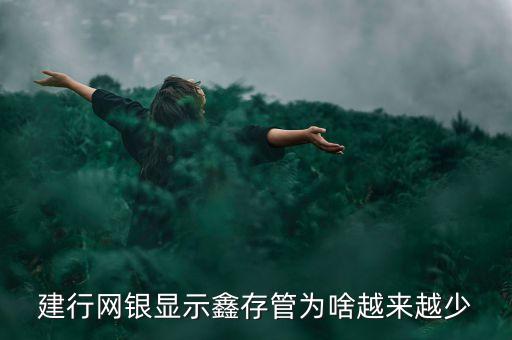 建行網(wǎng)銀顯示鑫存管為啥越來(lái)越少