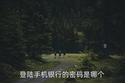 登陸手機(jī)銀行的密碼是哪個(gè)
