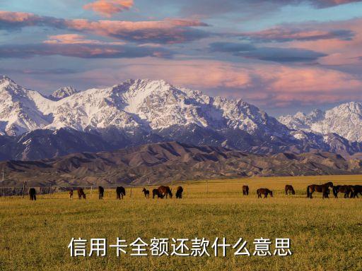 信用卡全額還款什么意思
