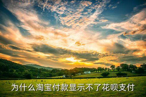 為什么淘寶付款顯示不了花唄支付