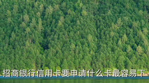 招商銀行信用卡要申請(qǐng)什么卡最容易下
