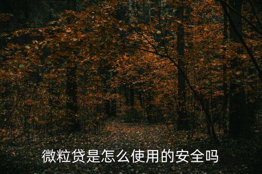 微粒貸是怎么使用的安全嗎