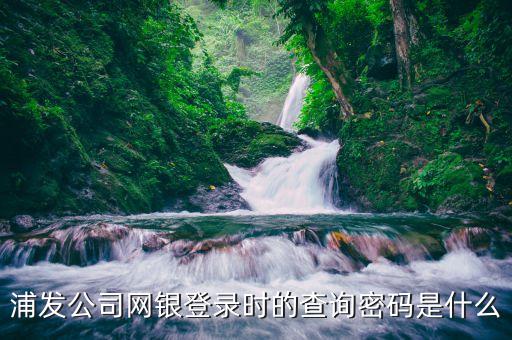 浦發(fā)公司網(wǎng)銀登錄時(shí)的查詢密碼是什么
