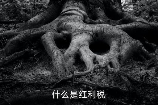 什么是紅利稅