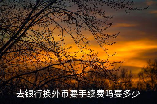 換外幣預(yù)約要什么手續(xù)費(fèi)嗎，請(qǐng)問(wèn)兌換外幣需要支付什么費(fèi)用嗎